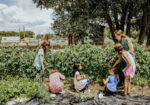 Mountain Roots Food Project