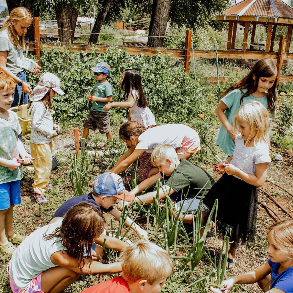 Mountain Roots Food Project - Gunnison Crested Butte Colorado