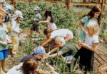 Mountain Roots Food Project - Gunnison Crested Butte Colorado