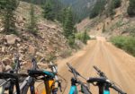 Campfire Ranch - Almont Colorado