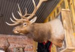Ol Miner Steakhouse - Gunnison Colorado