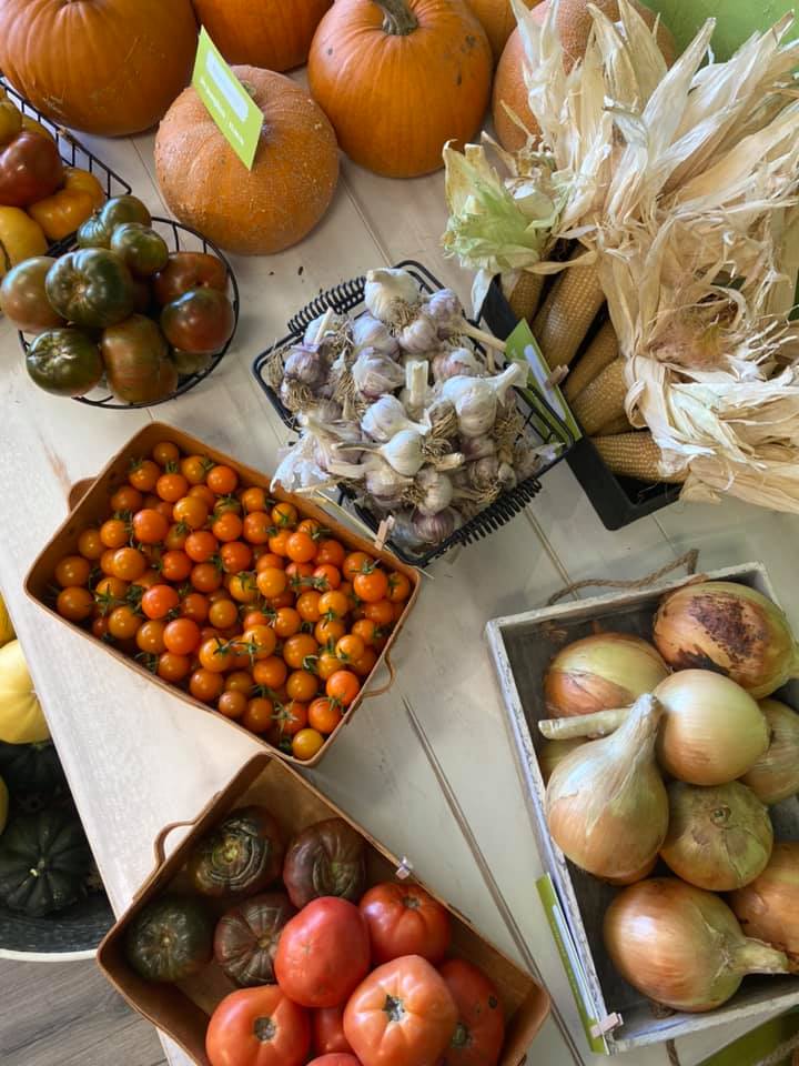 Wilder's Organic Market - Gunnison Colorado