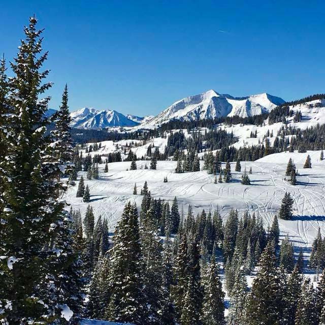 Action Adventures - Crested Butte Snowmobile Rentals & Guided Tours