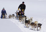 Cosmic Cruisers Sled Dog Tours