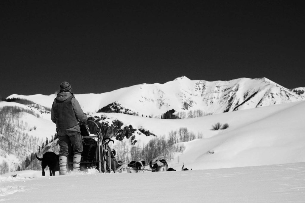 Cosmic Cruiser Sled Dog Tours - Crested Butte Colorado