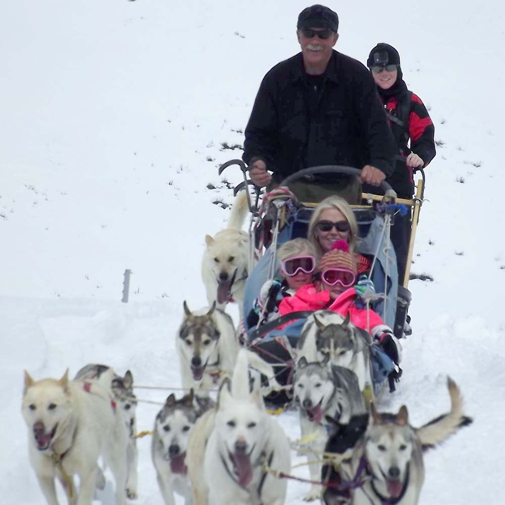 Cosmic Cruiser Sled Dog Tours - Crested Butte Colorado