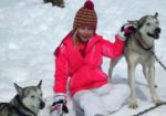 Cosmic Cruiser Sled Dog Tours - Crested Butte Colorado