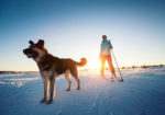 Gunnison Nordic
