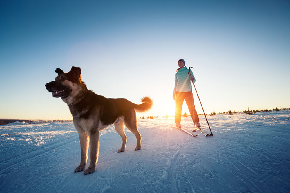 Gunnison Nordic - Gunnison Coloado Nordic and Cross Country Skiing