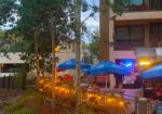 Iron Horse Tap - Mt Crested Butte Slopeside Restaurant & Bar