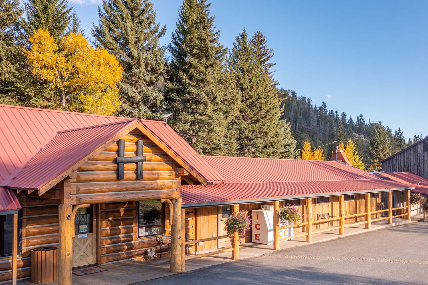 Bucks on the Taylor Coffee House - Almont Coorado