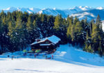 Uley’s Cabin
