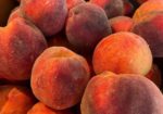 Mountain Earth Organic Grocer - Crested Butte Colorado