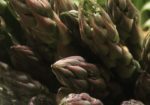 Mountain Earth Organic Grocer - Crested Butte Colorado