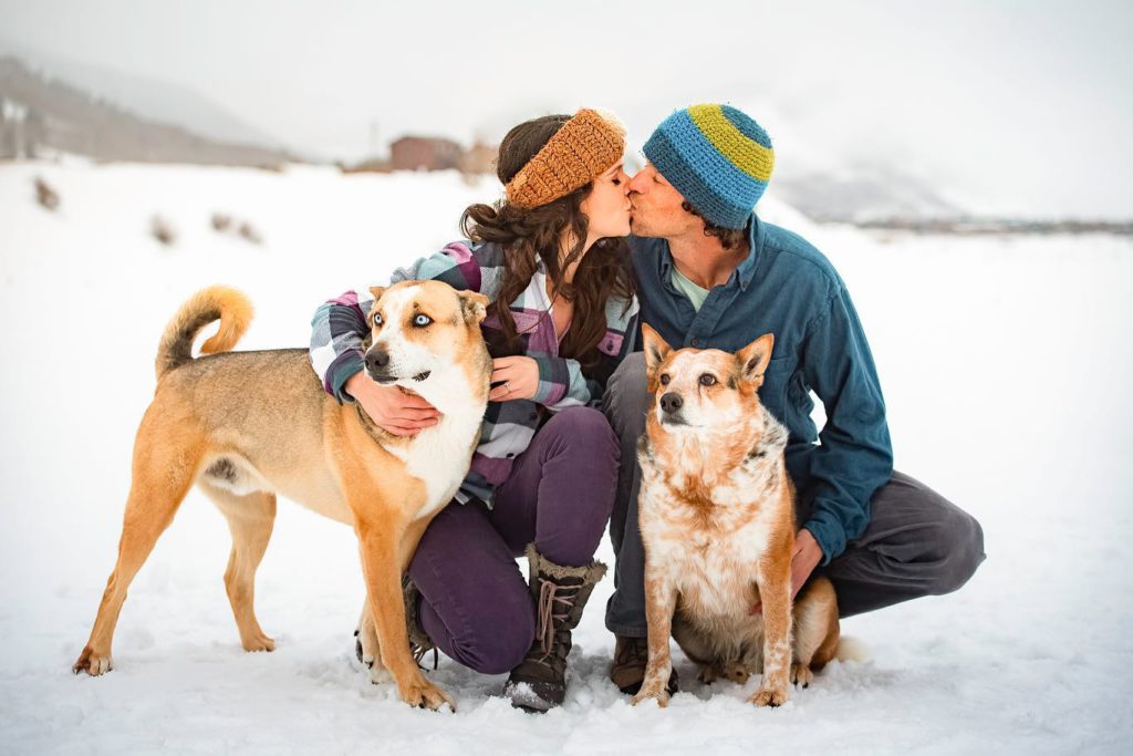Mountain Magic Media - Crested Butte Photography