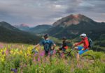 Irwin Guides