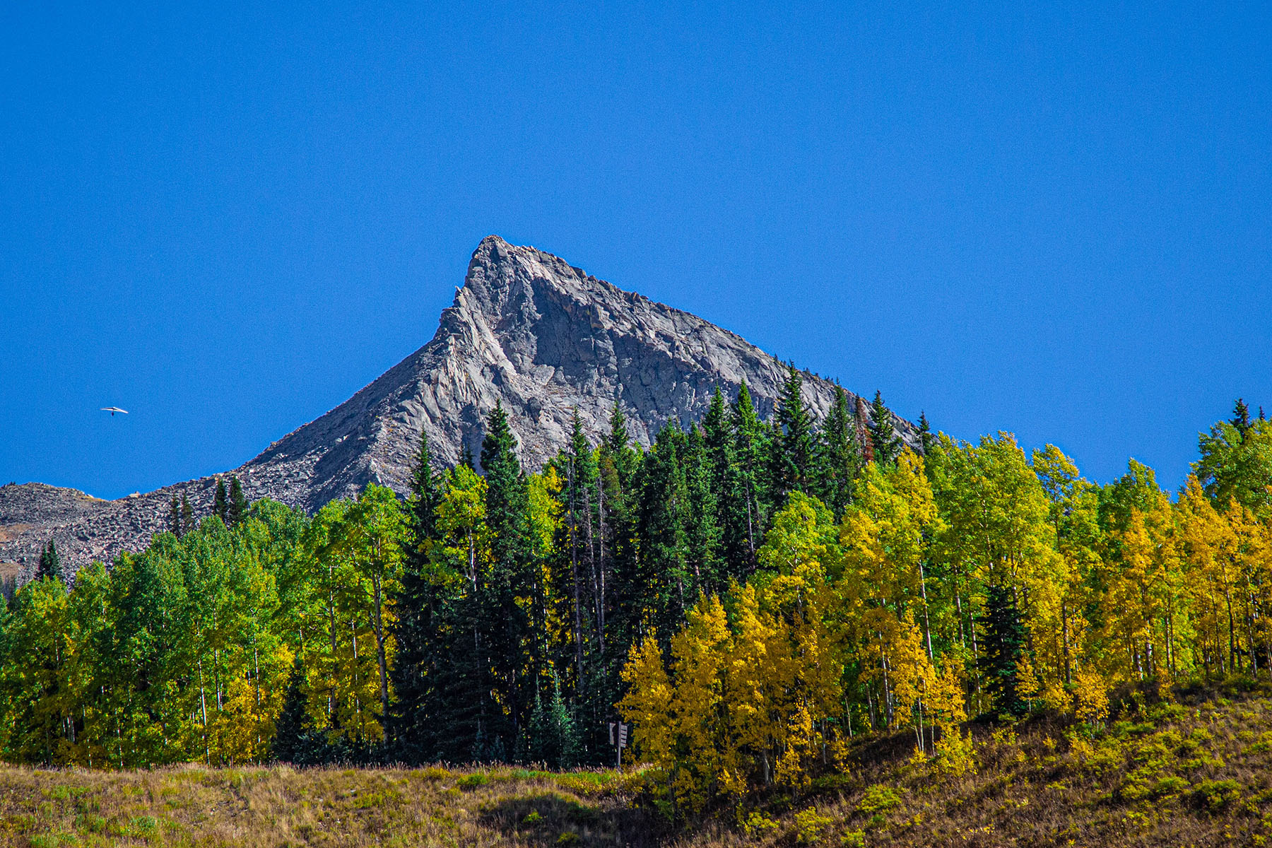 Crested Butte Colorado Travel Guide