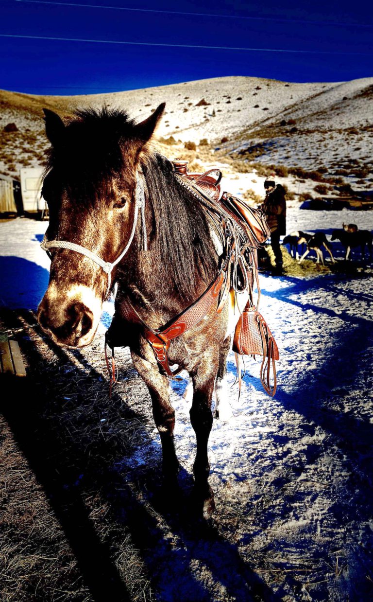 Winter Horseback Rides | Raven Rider Stables