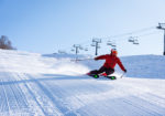 Romp Skis
